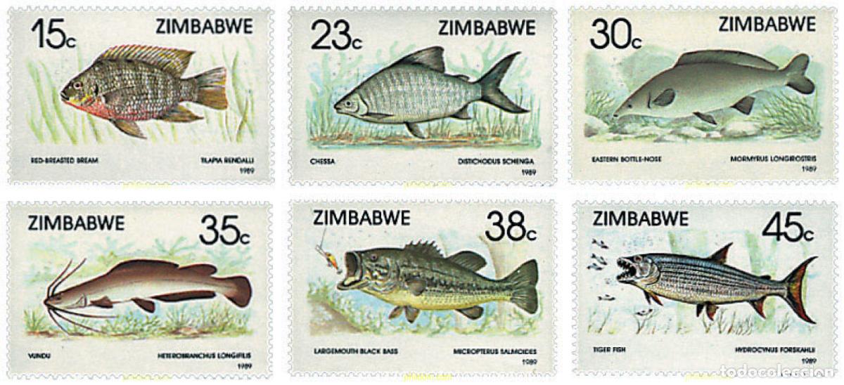 Sellos: 34218 MNH ZIMBABUE 1989 PECES