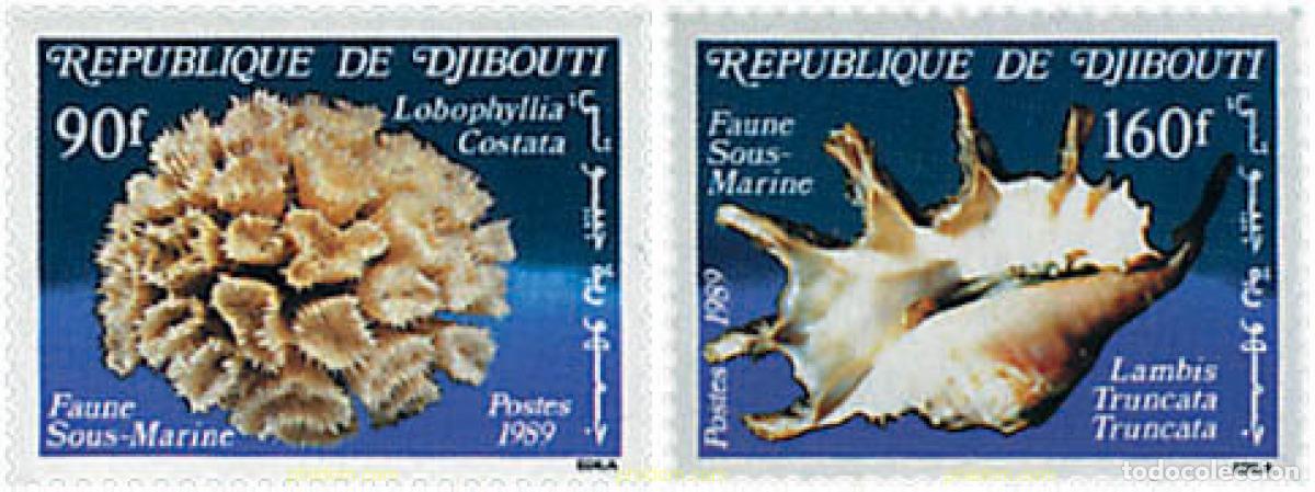 Sellos: 41636 MNH DJIBOUTI 1989 FAUNA MARINA
