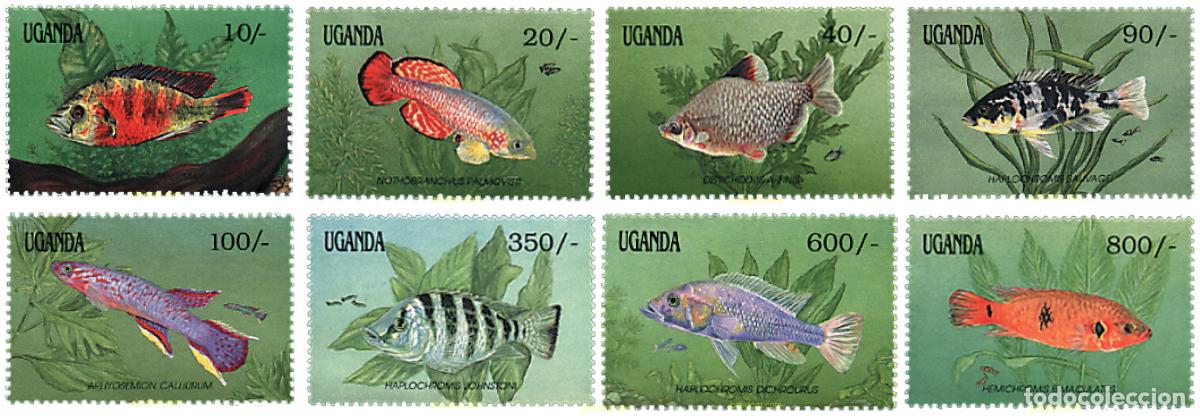 Sellos: 89587 MNH UGANDA 1991 PECES