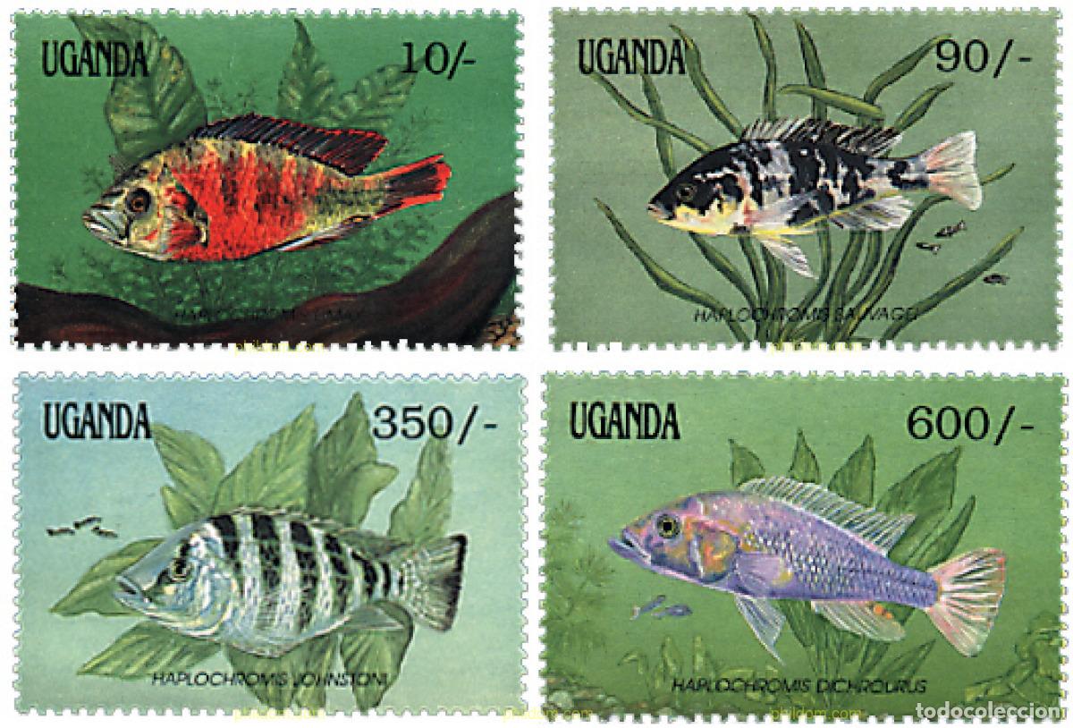 Sellos: 639501 MNH UGANDA 1991 PECES