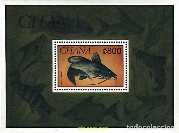 Sellos: 317399 MNH GHANA 1991 FAUNA MARINA