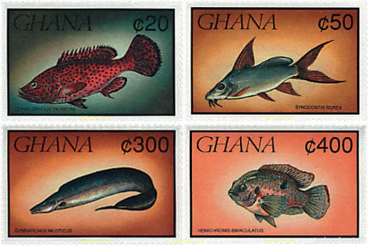 Sellos: 317398 MNH GHANA 1991 FAUNA MARINA