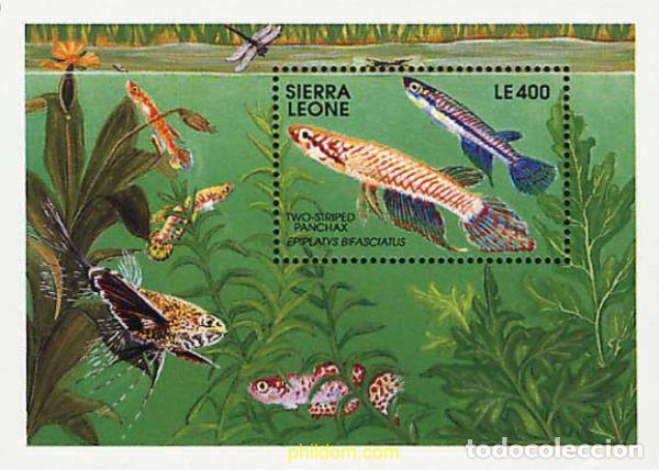 Sellos: 362130 MNH SIERRA LEONA 1991 PEZ DE AGUA DULCE