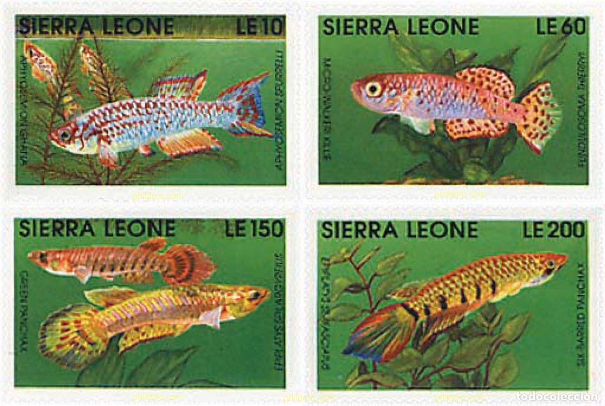Stamps: 329433 MNH SIERRA LEONA 1991 PECES DE AGUA DULCE