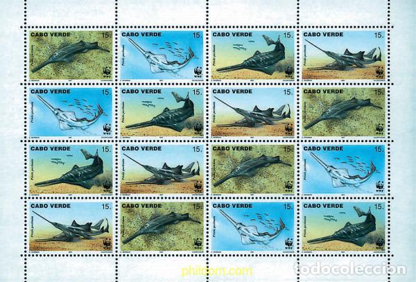 Sellos: 12671 MNH CABO VERDE 1997 PEZ SIERRA