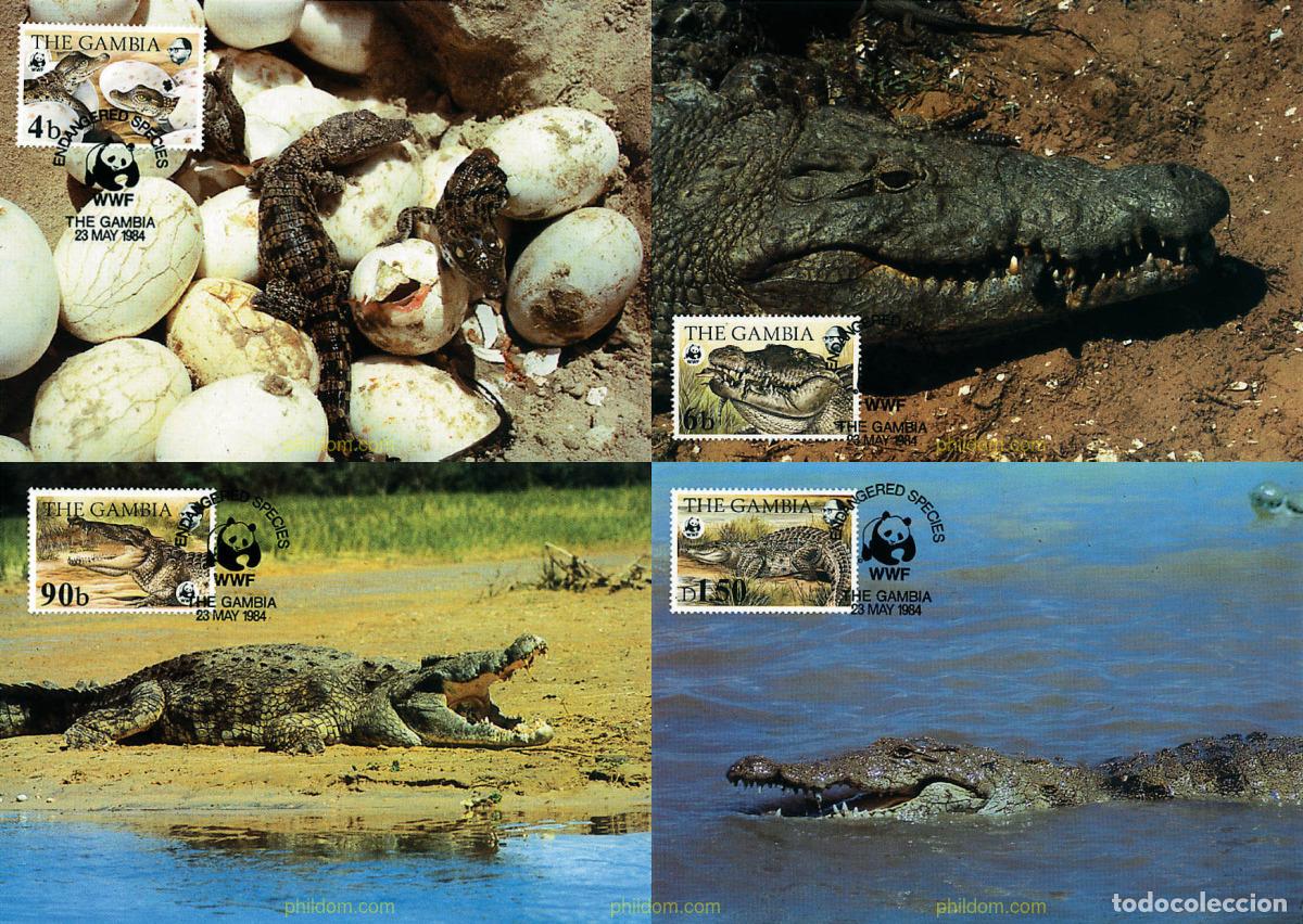 Selos: 7305 MNH GAMBIA 1984 COCODRILO DEL NILO