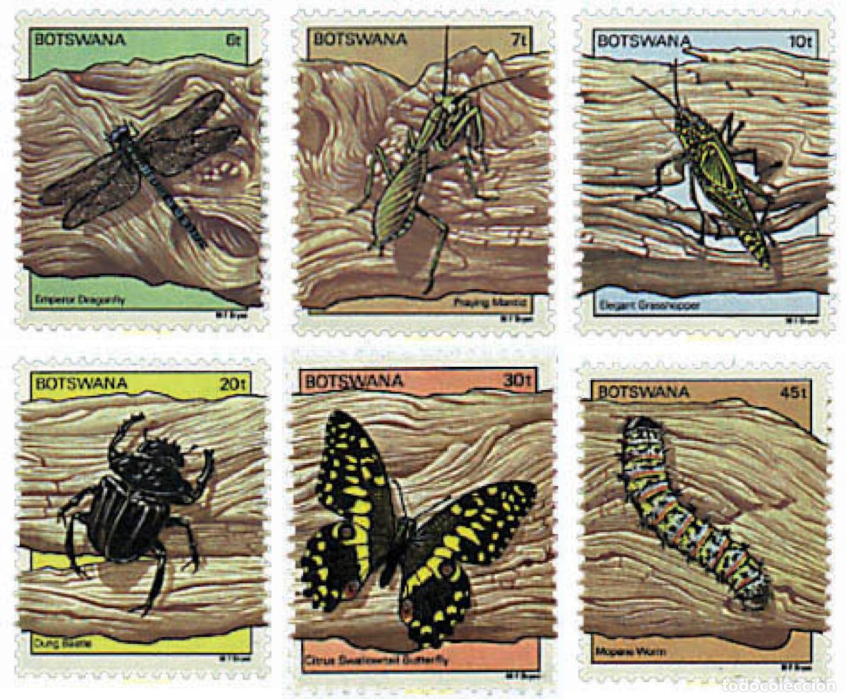 Sellos: 77529 MNH BOTSWANA 1981 INSECTOS
