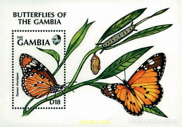 Sellos: 316850 MNH GAMBIA 1991 MARIPOSAS DE GAMBIA
