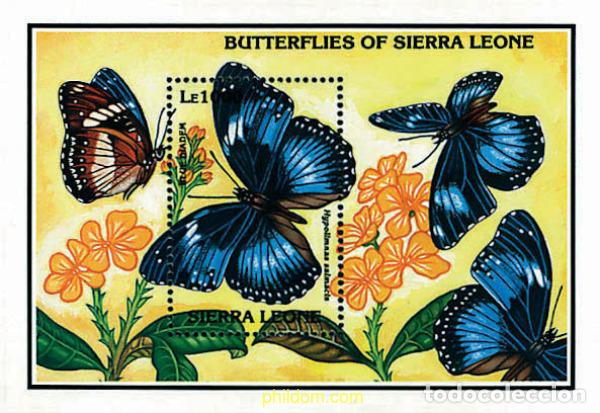 Sellos: 241818 MNH SIERRA LEONA 1993 MARIPOSAS