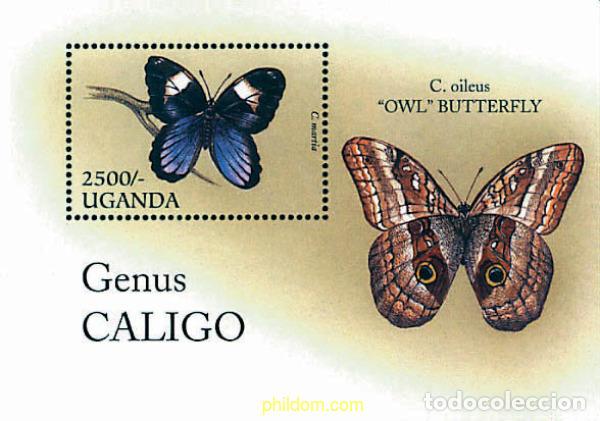 Sellos: 297583 MNH UGANDA 1996 MARIPOSAS