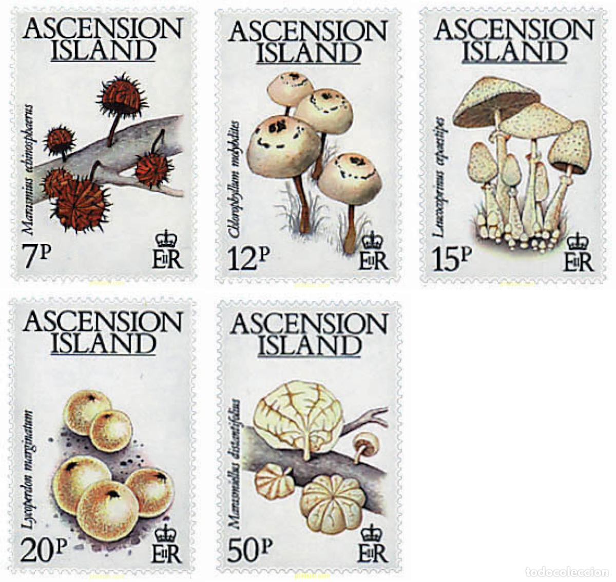 Sellos: 34505 MNH ASCENSION 1983 SETAS