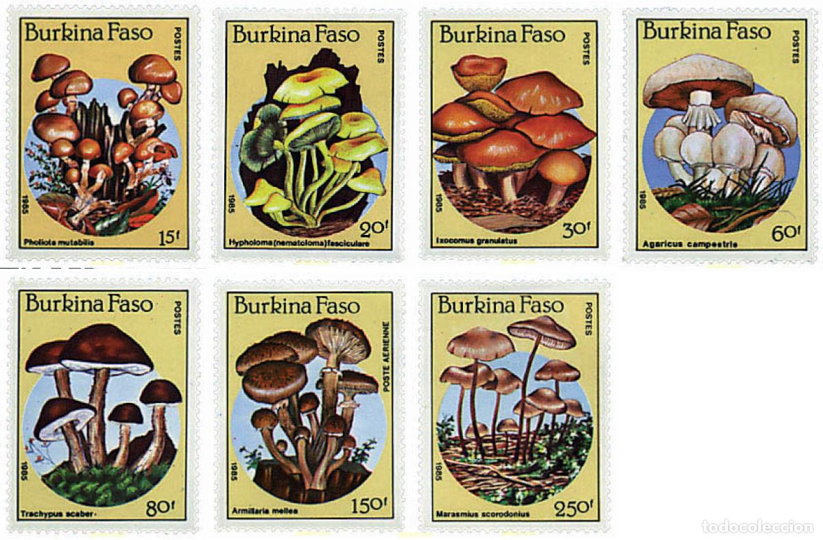 Sellos: 37507 MNH BURKINA FASO 1985 SETAS