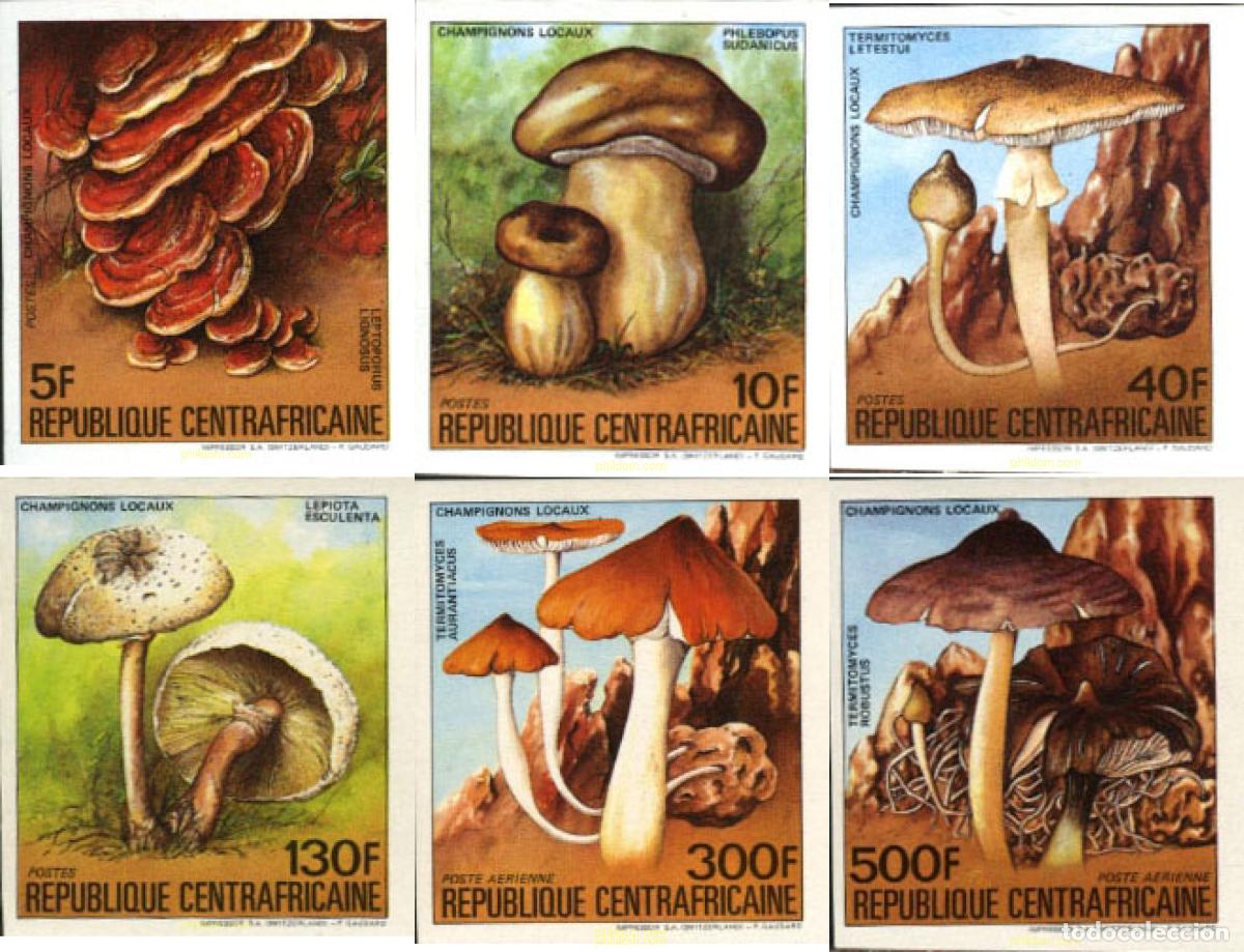 Sellos: 21373 MNH CENTROAFRICANA 1984 SETAS