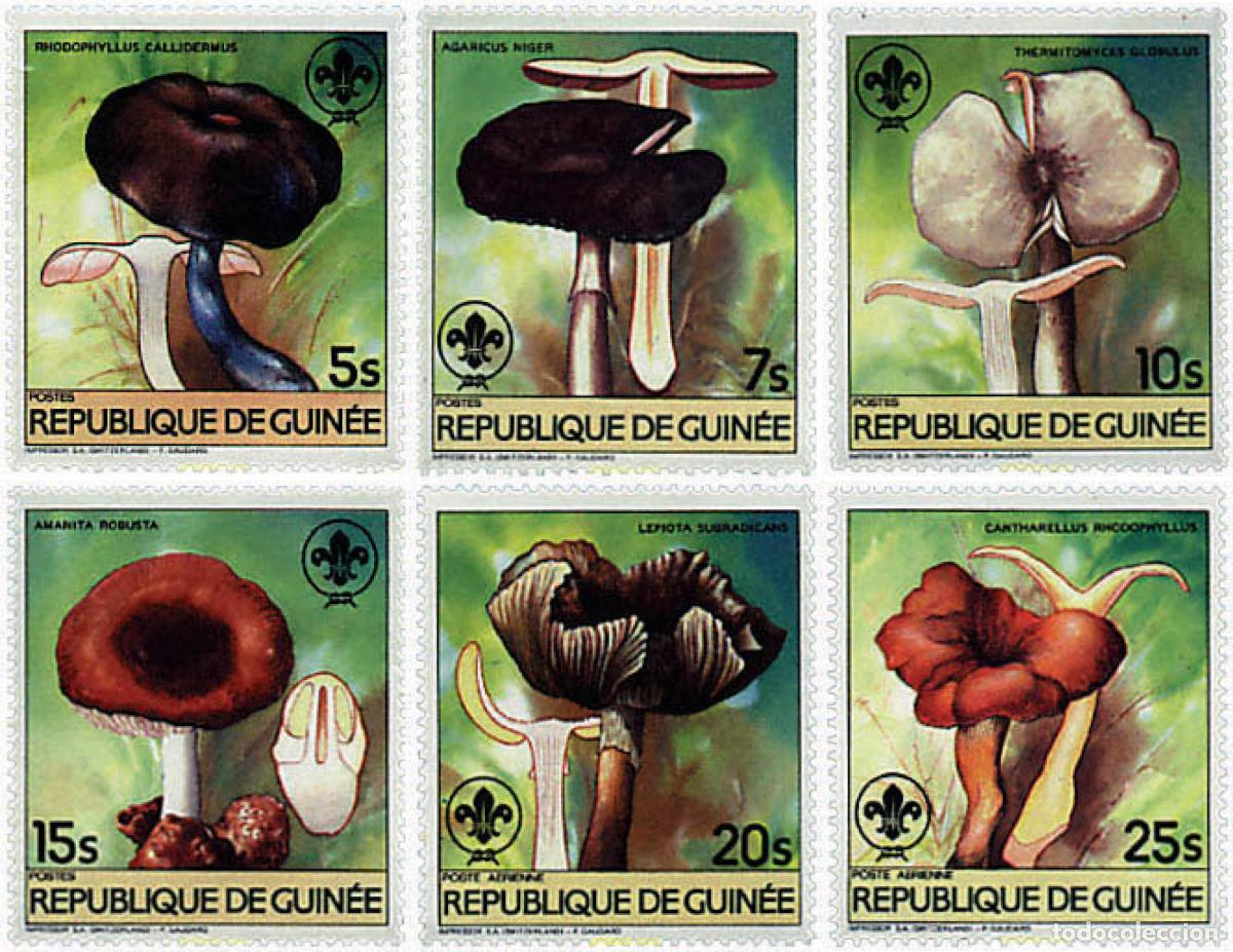Francobolli: 38116 MNH GUINEA 1985 SETAS