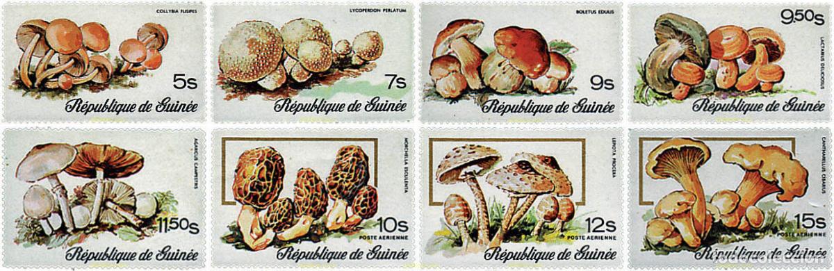 Sellos: 71754 MNH GUINEA 1977 SETAS