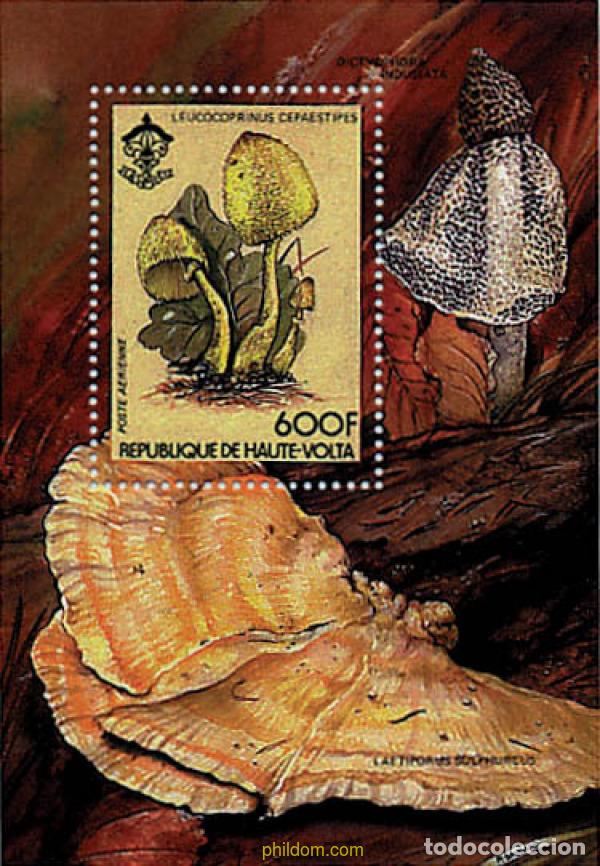 Sellos: 39050 MNH ALTO VOLTA 1984 SETAS Y FLORES LOCALES