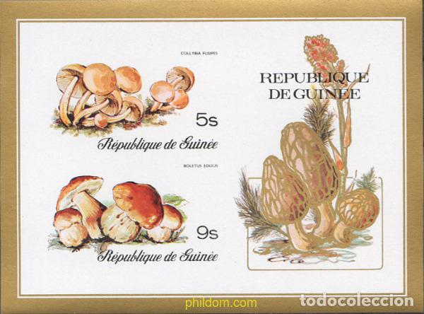 Sellos: 21354 MNH GUINEA 1977 SETAS