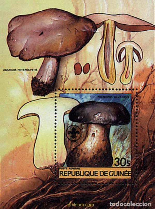 Sellos: 38118 MNH GUINEA 1985 SETAS