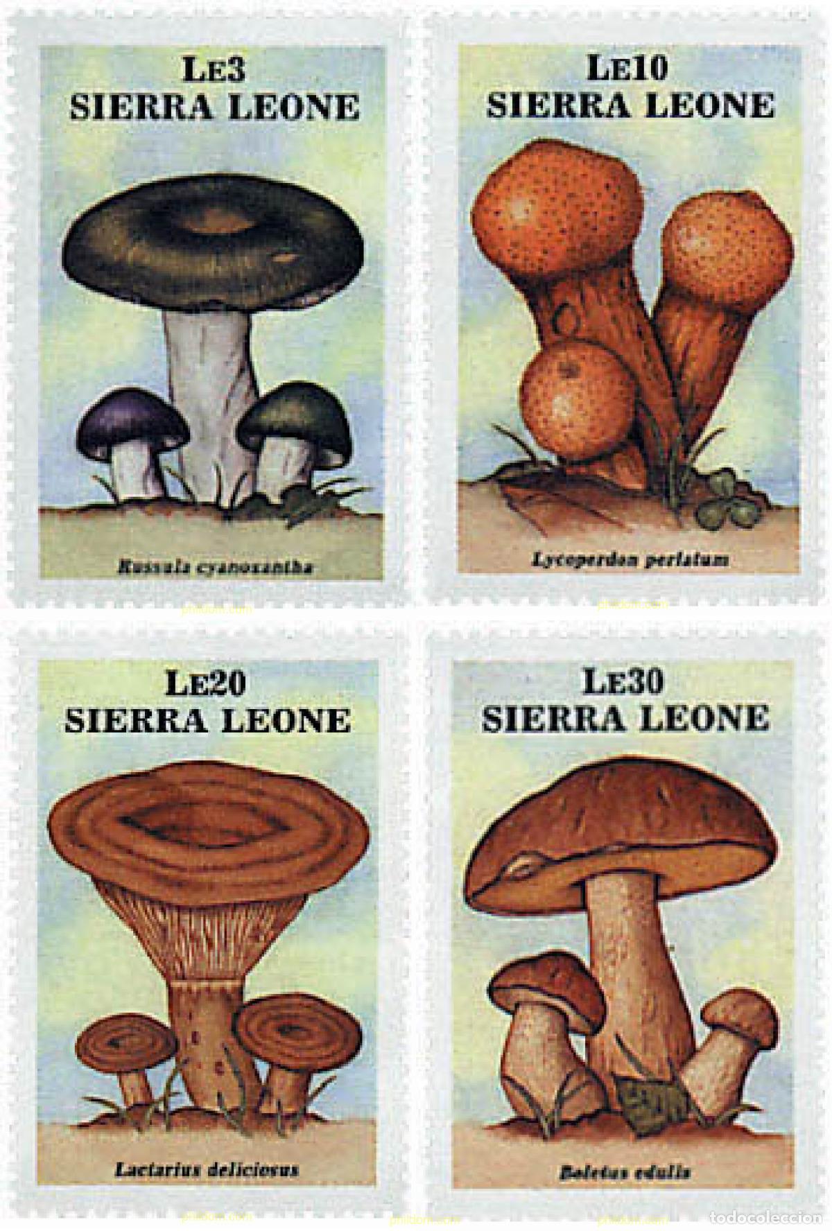 Sellos: 34573 MNH SIERRA LEONA 1988 SETAS