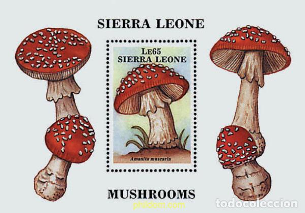 Sellos: 34574 MNH SIERRA LEONA 1988 SETAS