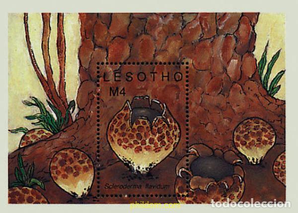 Sellos: 34509 MNH LESOTHO 1989 SETAS