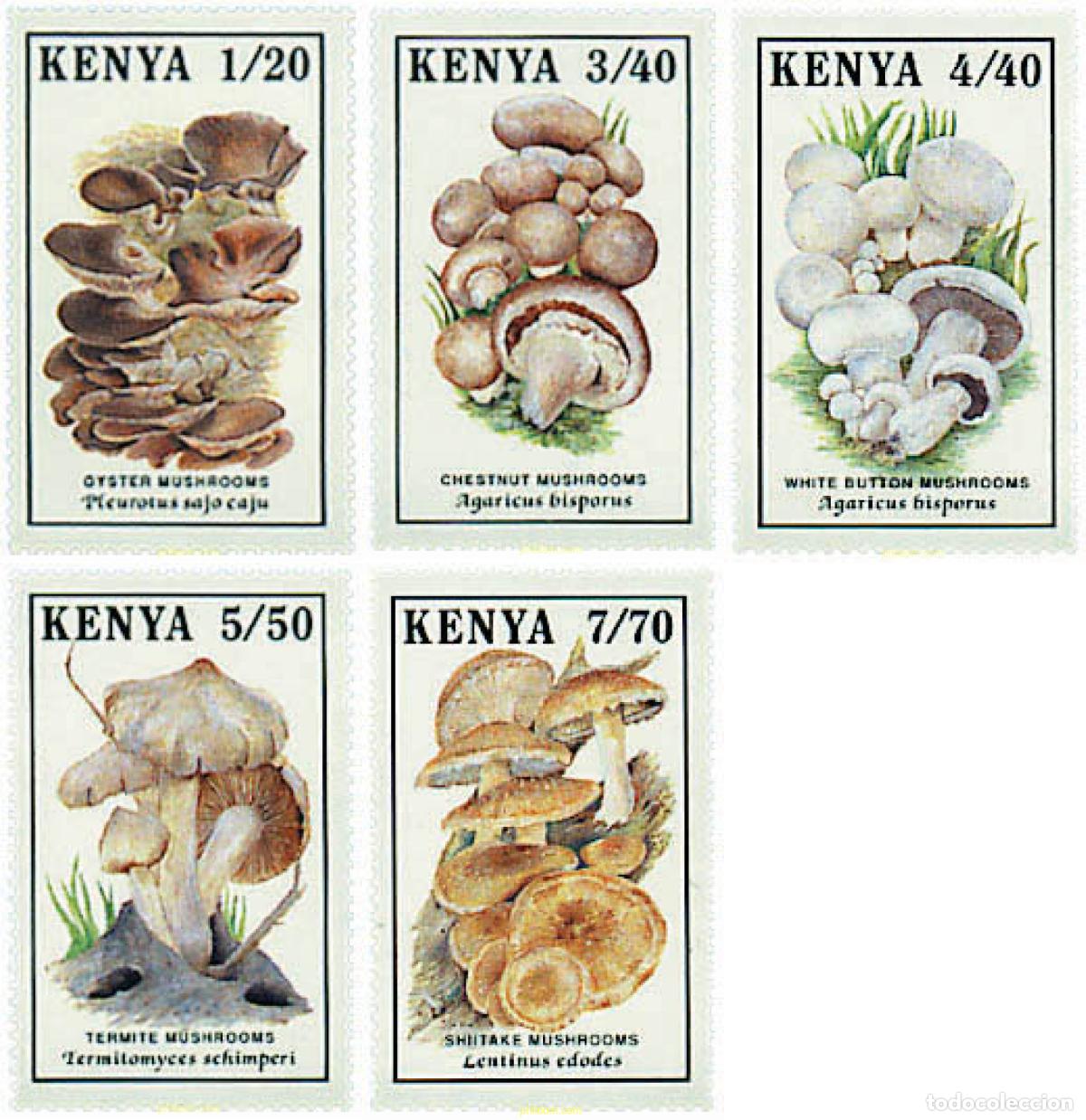 Sellos: 35055 MNH KENIA 1989 SETAS