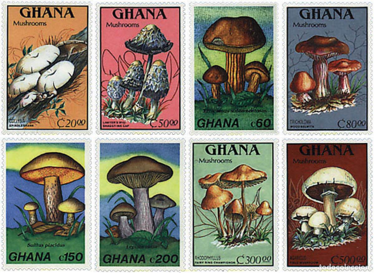 Sellos: 34999 MNH GHANA 1989 SETAS