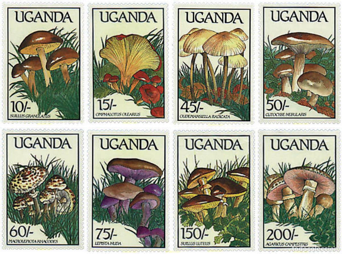 Sellos: 34537 MNH UGANDA 1989 SETAS
