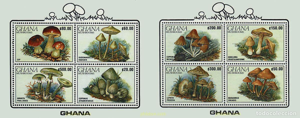 Sellos: 34912 MNH GHANA 1990 SETAS