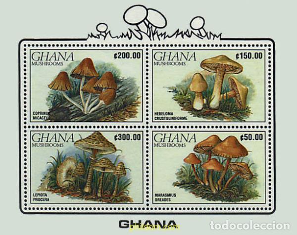 Timbres: 317347 MNH GHANA 1990 SETAS