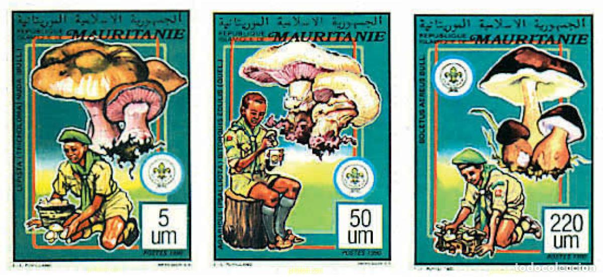 Sellos: 211906 MNH MAURITANIA 1991 SETAS, MARIPOSAS Y ESCULTISMO