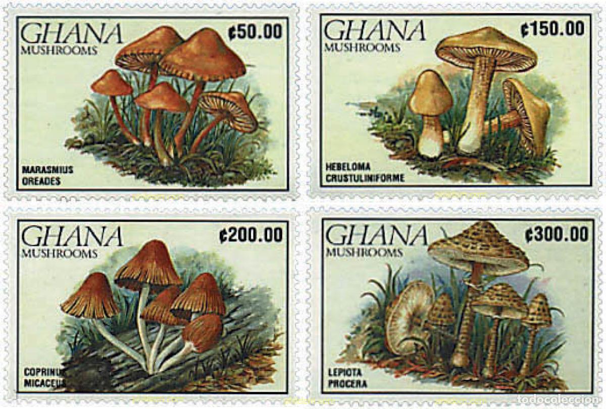 Sellos: 317346 MNH GHANA 1990 SETAS