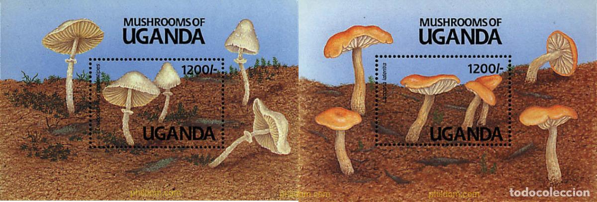 Sellos: 38140 MNH UGANDA 1991 SETAS