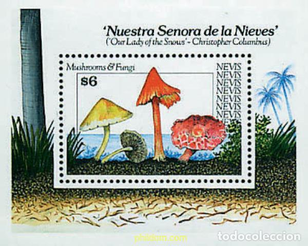 Sellos: 229163 MNH NEVIS 1991 SETAS