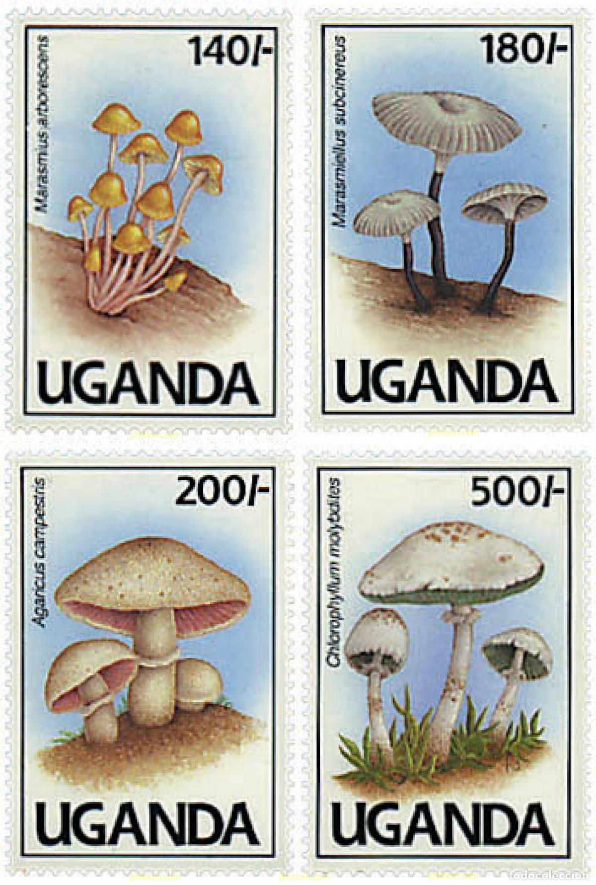 Sellos: 296801 MNH UGANDA 1991 SETAS