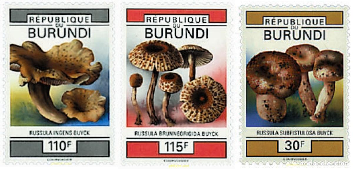 Sellos: 36213 MNH BURUNDI 1993 SETAS