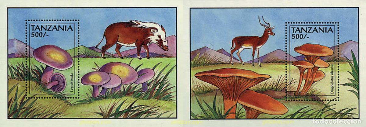 Sellos: 69712 MNH TANZANIA 1993 SETAS