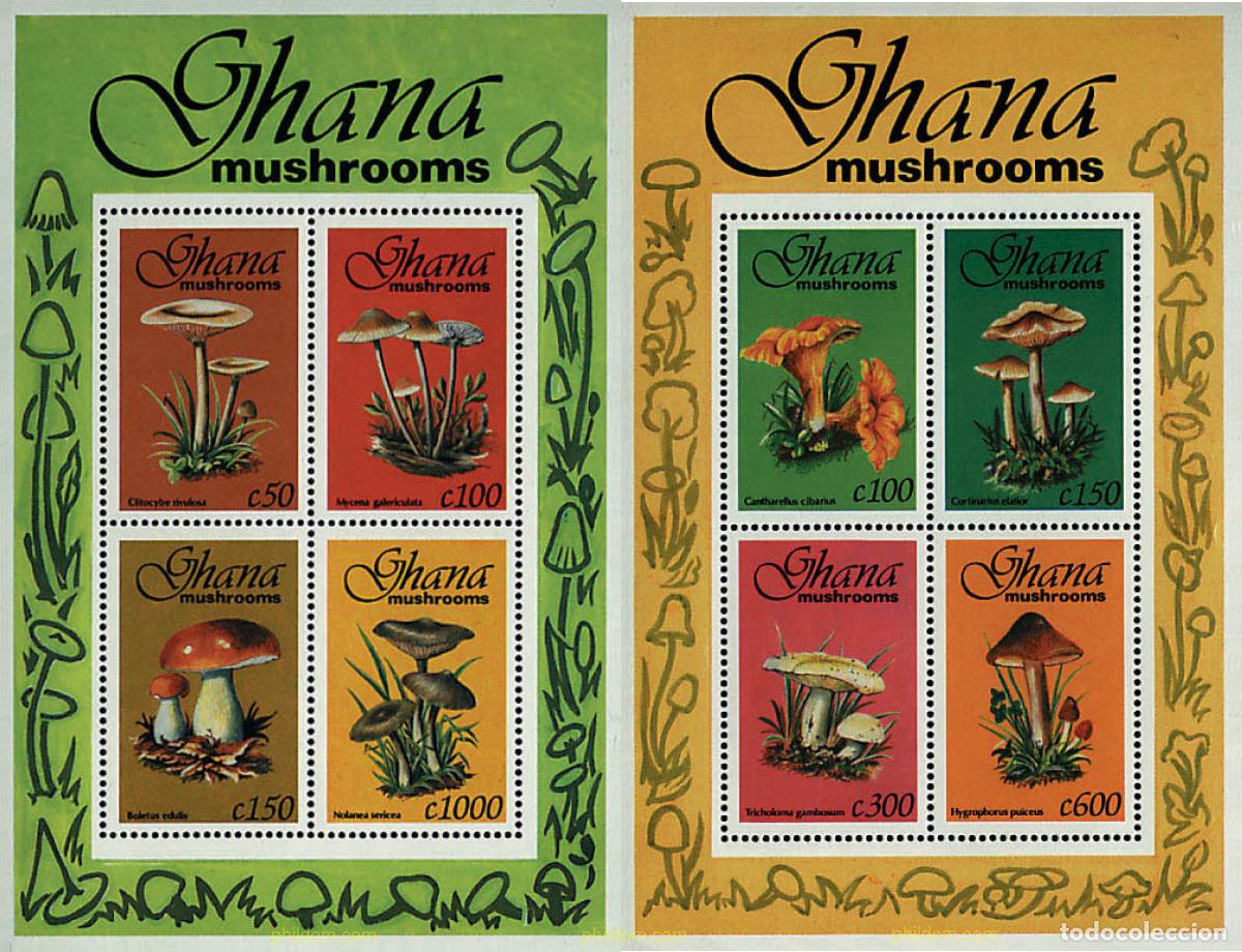 Sellos: 50081 MNH GHANA 1993 SETAS
