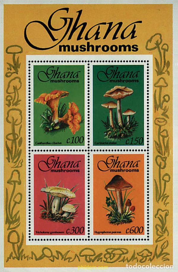 Sellos: 317462 MNH GHANA 1993 SETAS