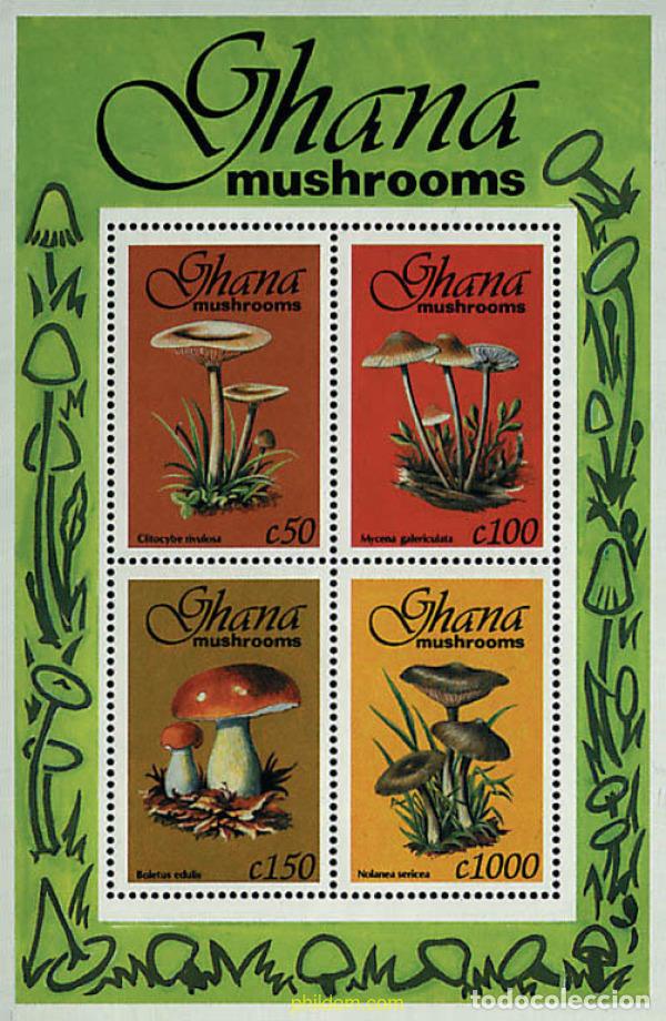 Sellos: 317468 MNH GHANA 1993 SETAS