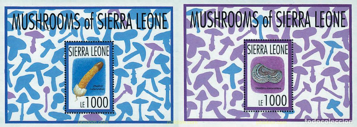 Sellos: 38219 MNH SIERRA LEONA 1993 SETAS