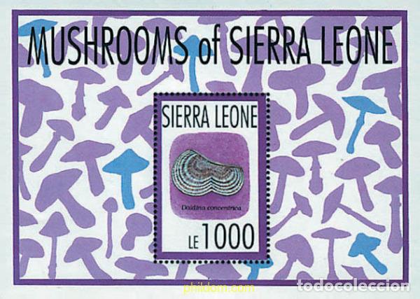Sellos: 362161 MNH SIERRA LEONA 1993 SETAS