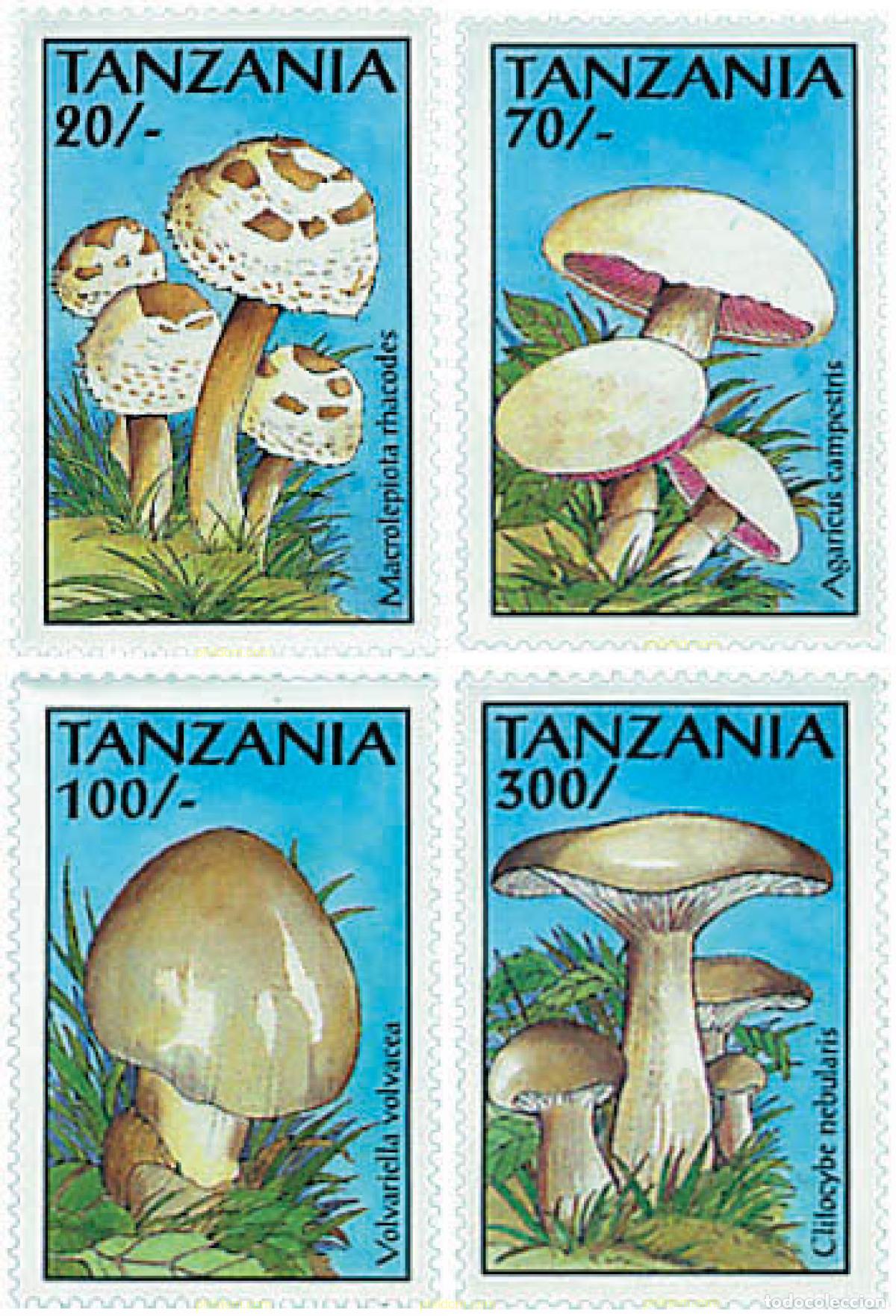 Sellos: 365273 MNH TANZANIA 1993 SETAS