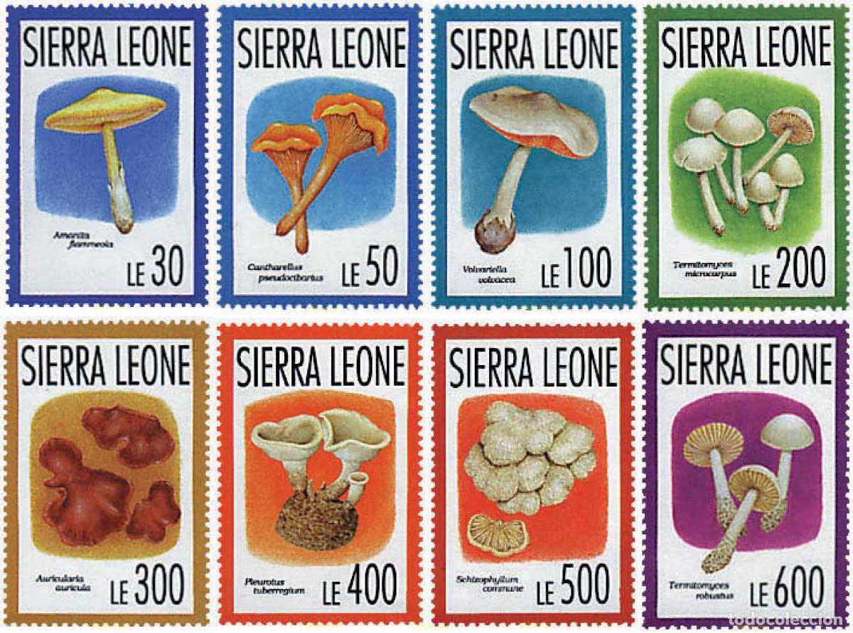 Sellos: 35091 MNH SIERRA LEONA 1993 SETAS