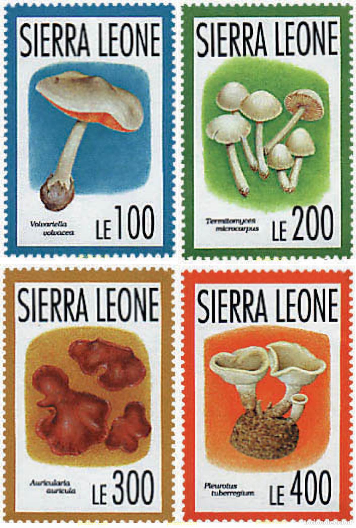 Sellos: 362160 MNH SIERRA LEONA 1993 SETAS
