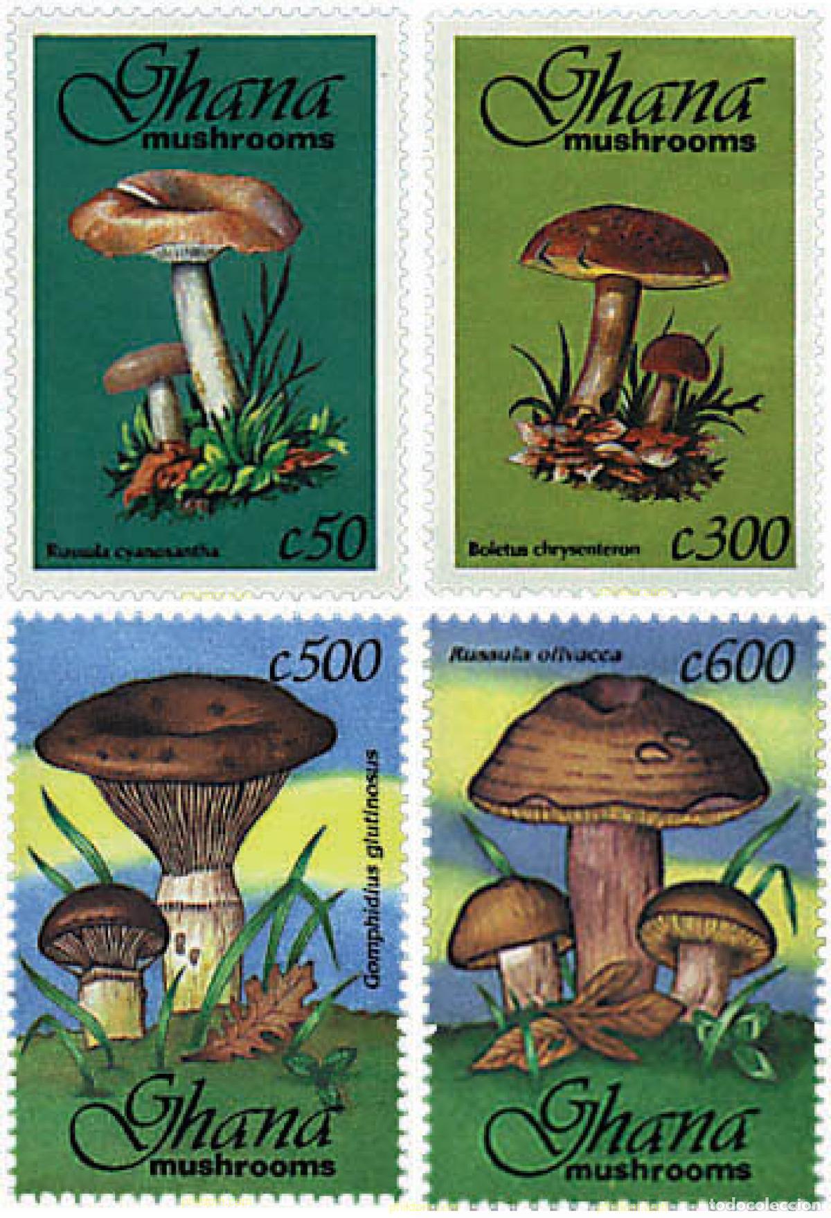 Sellos: 317461 MNH GHANA 1993 SETAS