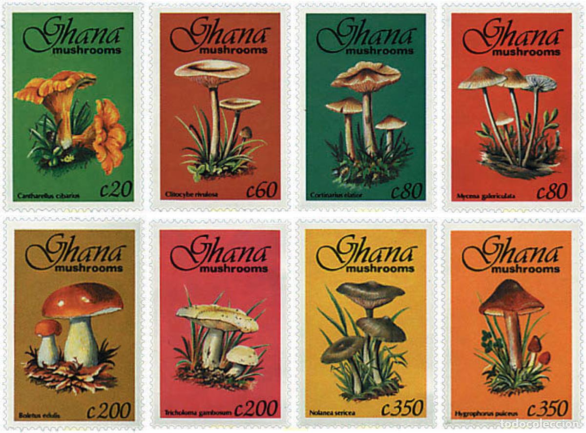 Sellos: 317466 MNH GHANA 1993 SETAS