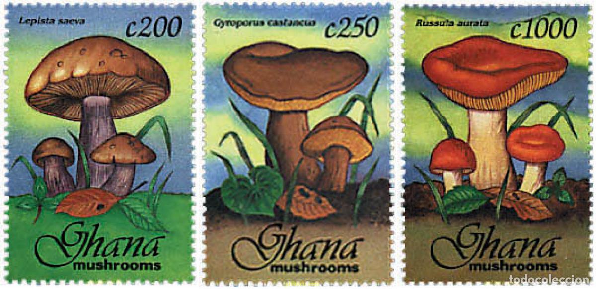 Sellos: 317469 MNH GHANA 1993 SETAS