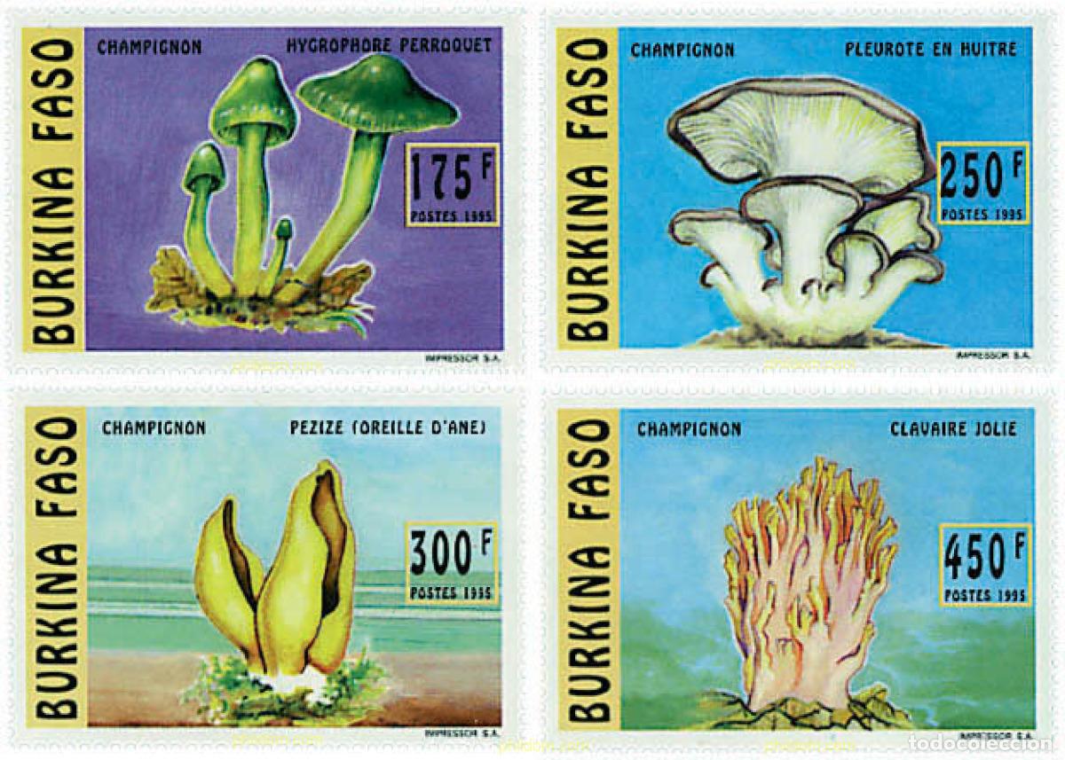 Sellos: 55854 MNH BURKINA FASO 1996 SETAS