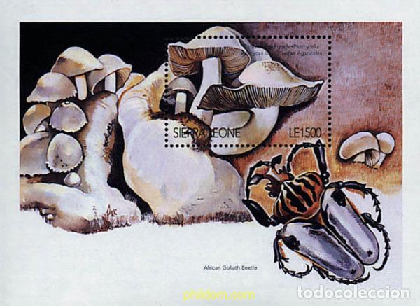 Sellos: 362263 MNH SIERRA LEONA 1996 SETAS